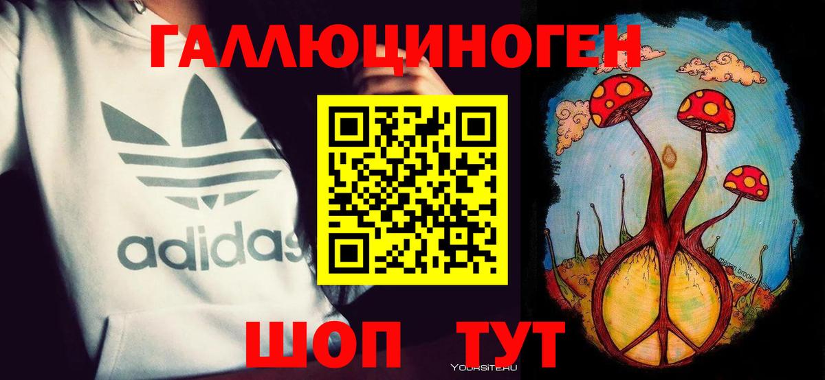 Галлюциногенные грибы Psilocybine cubensis Печора